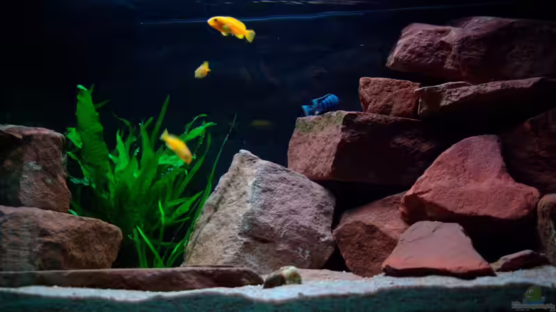 rechter Steinhaufen bis dicht unter die Wasseroberfläche von Duder Malawikus (10)