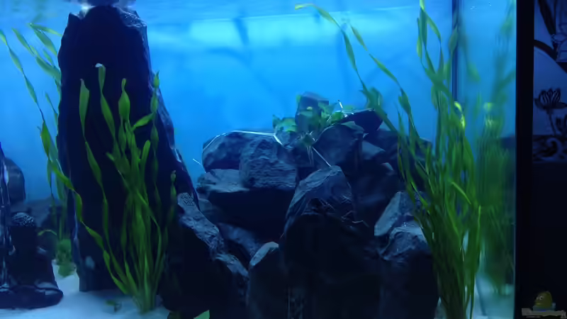 Rechter Steinhaufen von chewi86 (3)