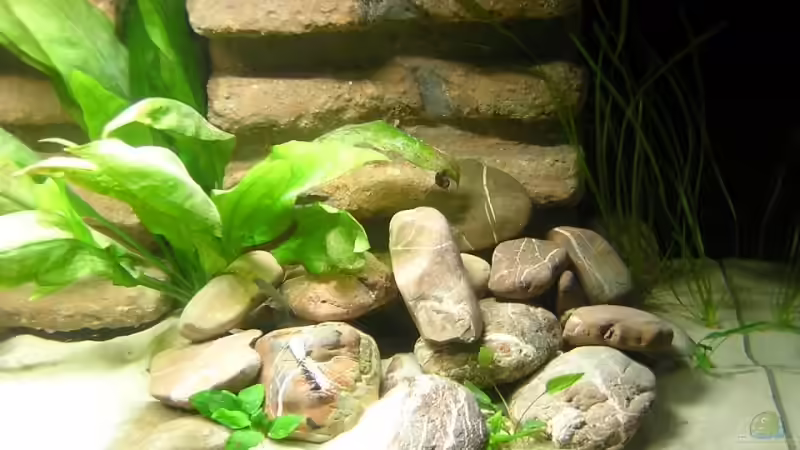 Rechter Steinhaufen von Markus M. (3)