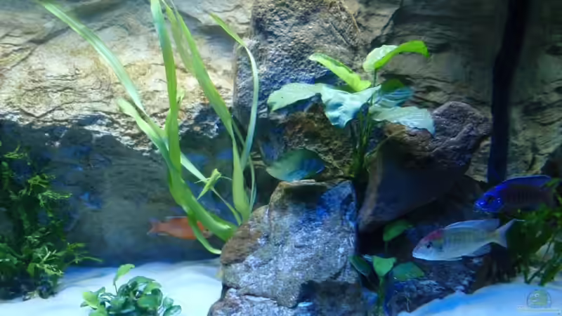 rechter Steinhaufen von Sven Roland (5)