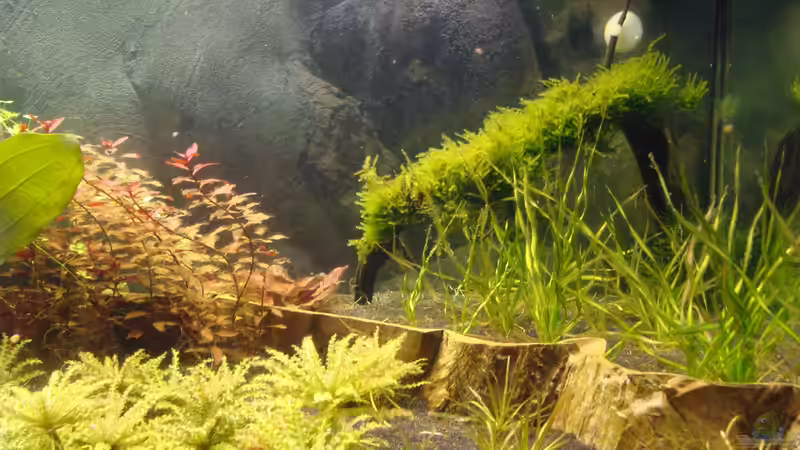 rechter Teil (24.11.13) von Christian Heitmann (3)