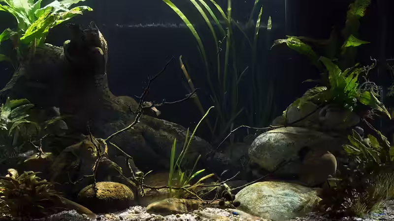 rechtes Becken ´Smaugs Einlde´ .. von AjakAndi (4)