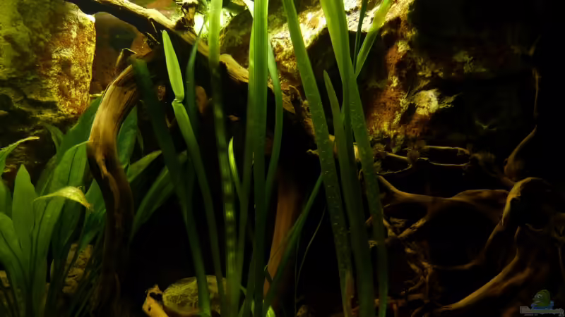 rechtes Felsmodul 10.12.12 von ~Marco~ (21)