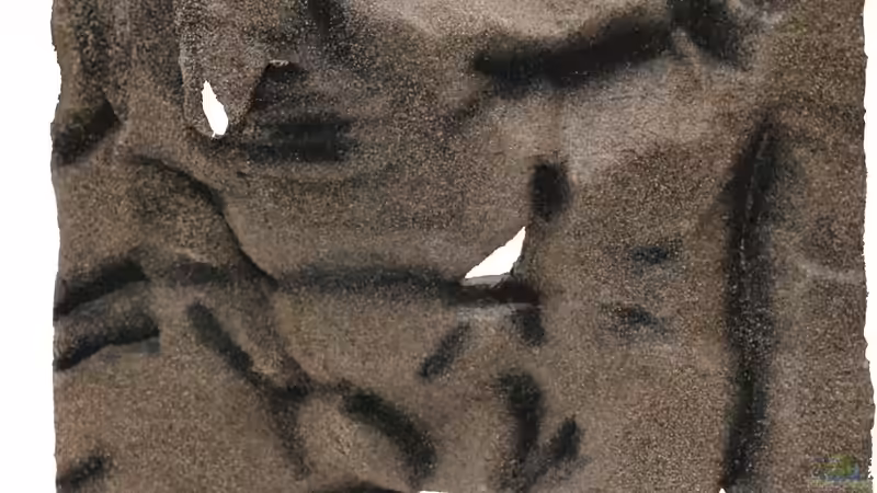 rechtes Modul - Fornansicht -  von AjakAndi (18)