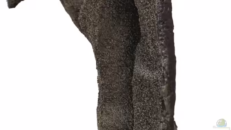 rechtes Modul - Seitenansicht - von AjakAndi (19)