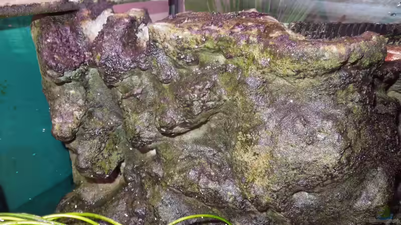 Rechtes Modul  von Volker Alms (27)