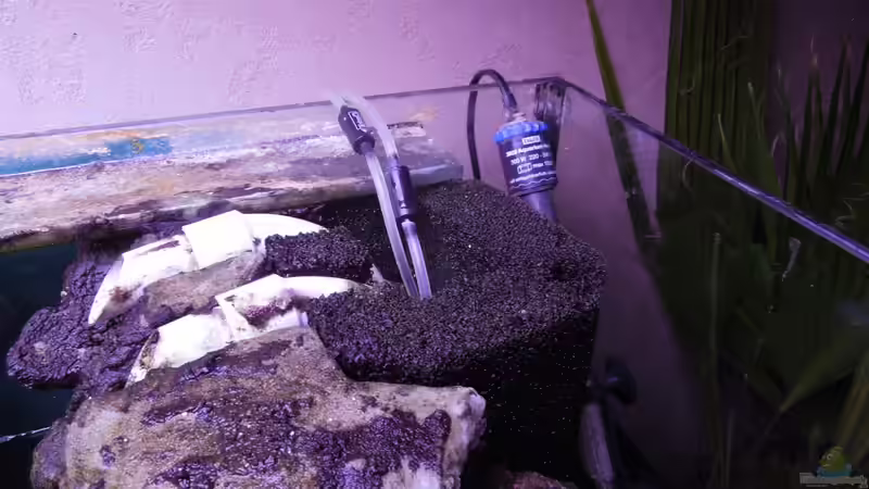 Rechtes Modul  von Volker Alms (33)