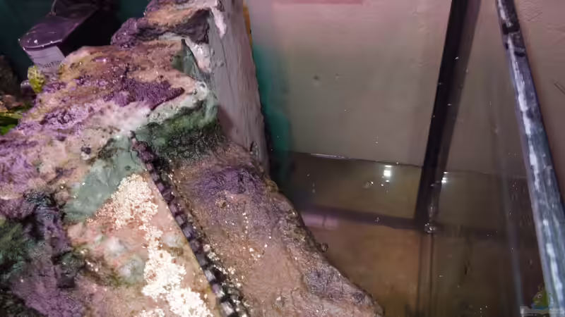 Rechtes Modul hinter welchen die Heizung und der HMF eingesetzt sind von Volker Alms (25)