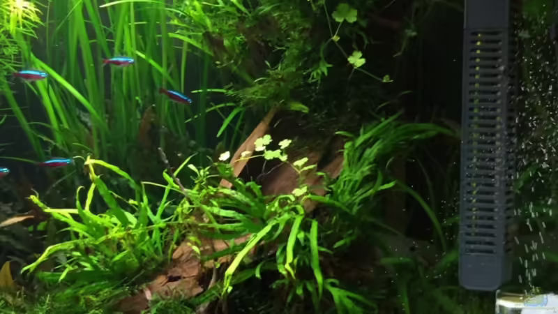 rechts 13.10.2013 von Walde (16)