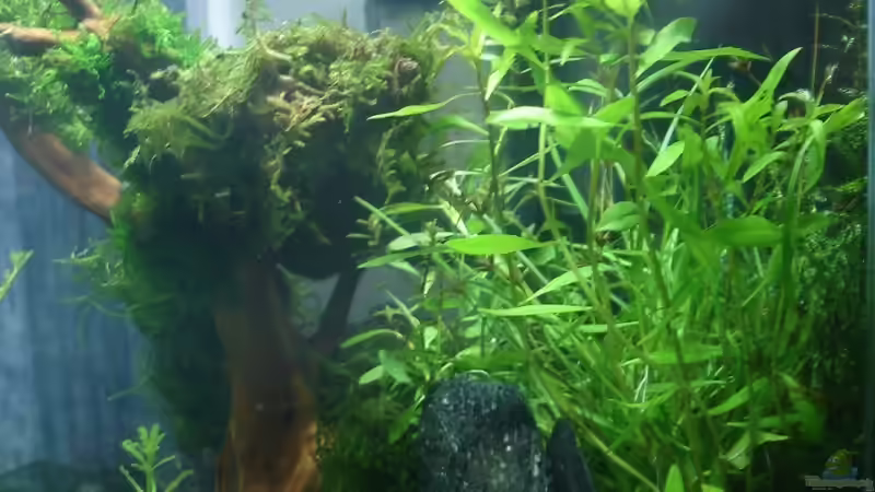 rechts 20.09.2008 von quickmike (4)