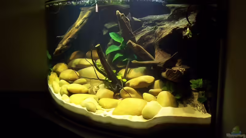 Rechts aktuell von duese (8)