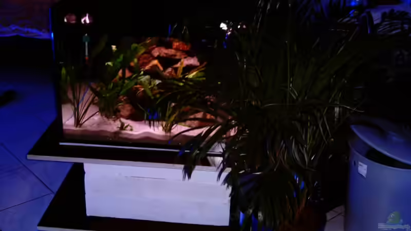 rechts Aussenfilter, Schläuche von der Pflanze versteckt von Schielefix (10)