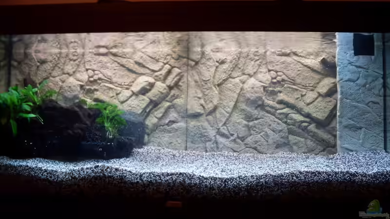 rechts der juwelfilter mit der verkleidung von juwel von der anfänger (1)