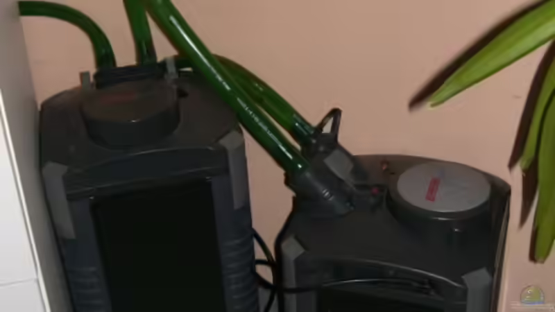 rechts der Vorfilter und links der Hauptfilter von Alexander Eckel (23)