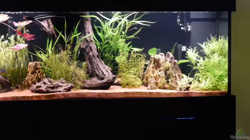 Rechts dominieren Drachensteine von Christof Engel (21)