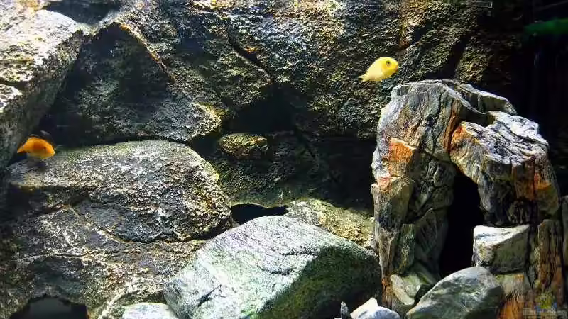 rechts ein Kunststein SH-30 von Ludwig Prantl (5)