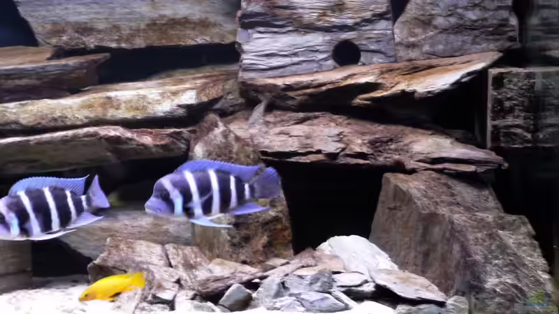 Rechts (Höhlen) von Baeltes (8)