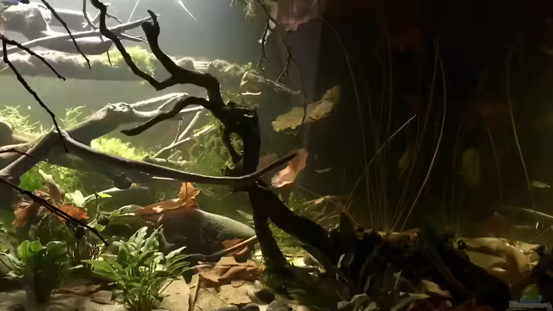 rechts II von NaMo (27)