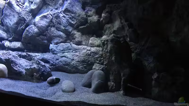 Rechts von Albert (8)