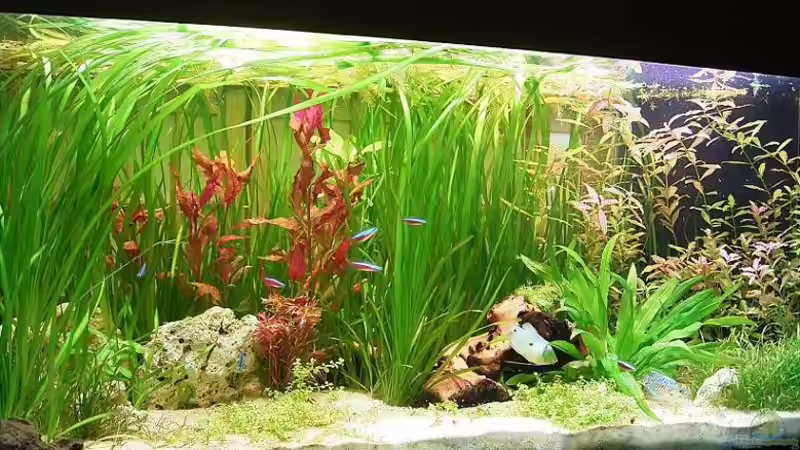 rechts von Björn Seligmann (3)