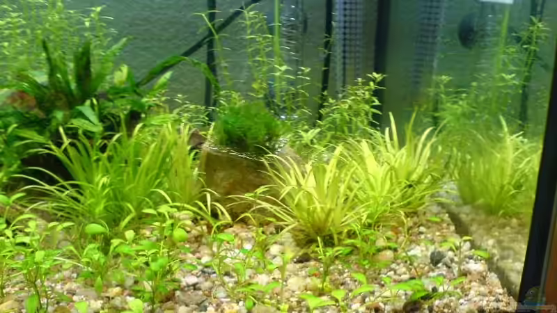 rechts von Christoph H. (12) (6)