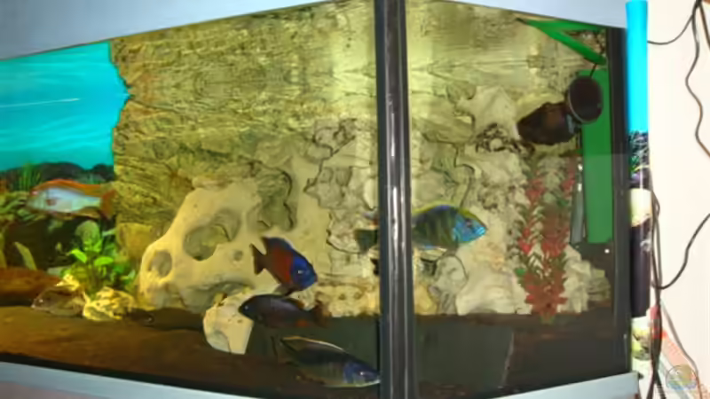 rechts von Fabian S. (9)