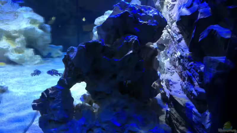 rechts von Gsigold (5)