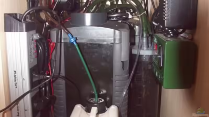 Rechts von Kai Holdinghausen (20)