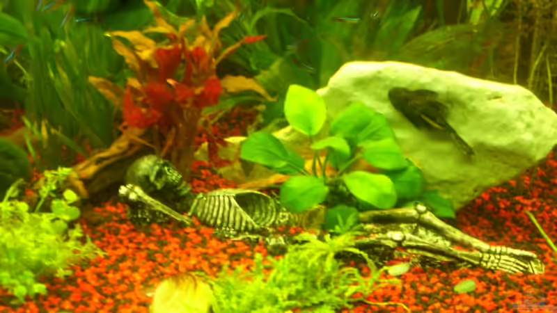 rechts von Kerstin Fahn (7)