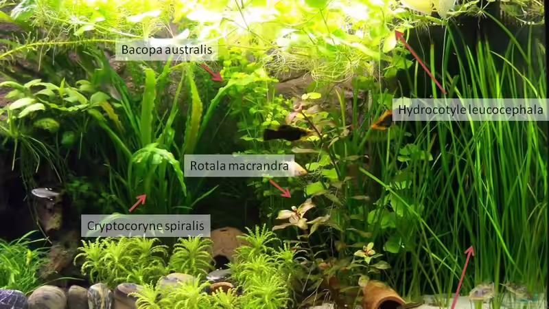 rechts von KidVicious (5)