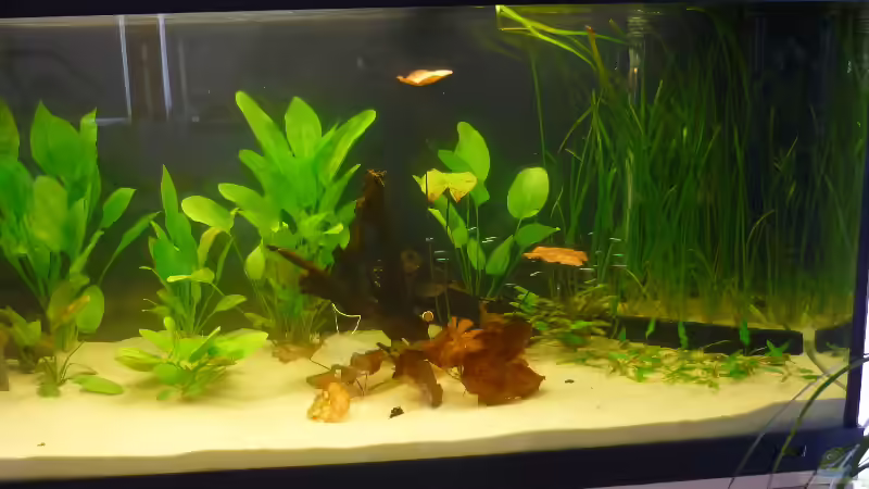 rechts von Mario Coordes (3)