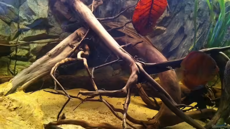 rechts von matthiasm (10)