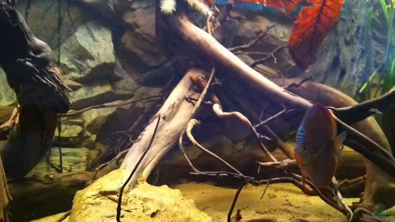 rechts von matthiasm (9)