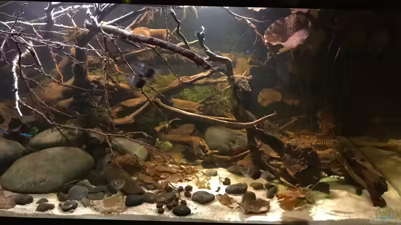 rechts von NaMo (25)