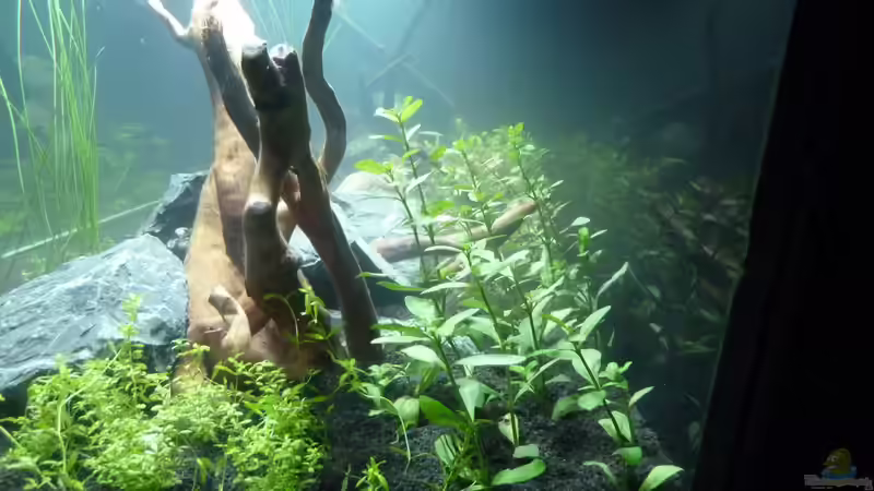 Rechts von Niederbayer_Andee (6)