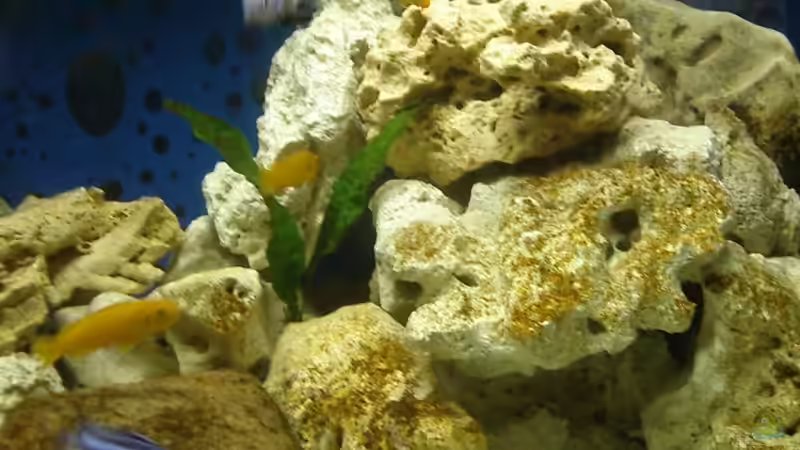 rechts von Ronny Richter (4)