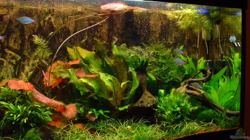 Rechts von Sabine Stark (7)