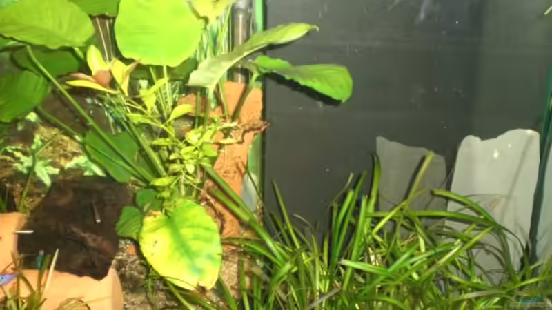 rechts von Tobias Ziemzek (4)