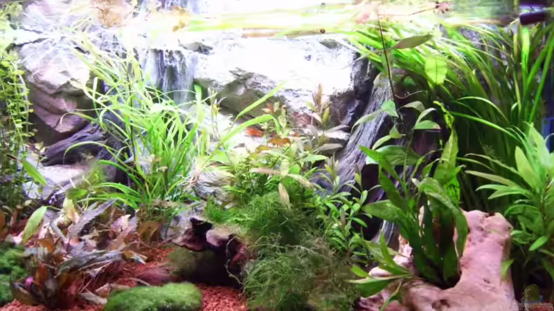 rechts von welle30 (3)