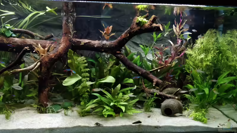 rechts von Woidma (19)