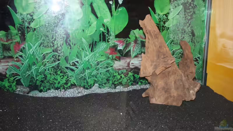 Rechts von wolle04 (2)