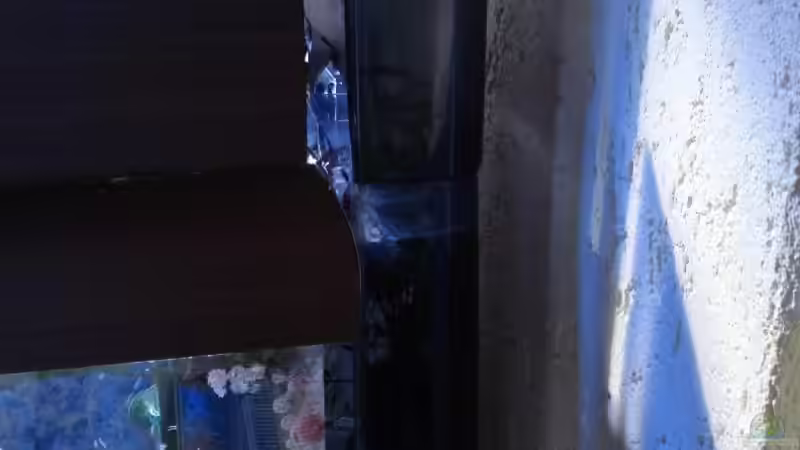 Red Sea Pzim Pro Delux von enemey (16)