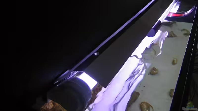 Reflektor über der Sylvania Aquastar von Oliver Knönagel (13)