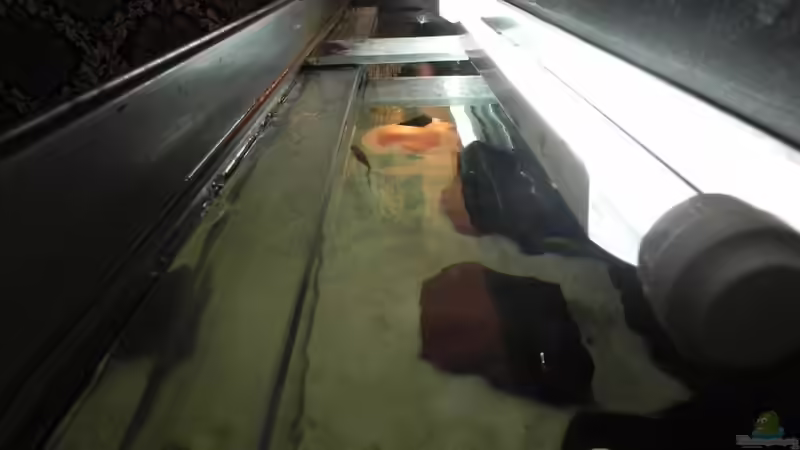 Reflektoren etwas zweckentfremdet. von Sternenseeträumer (24)