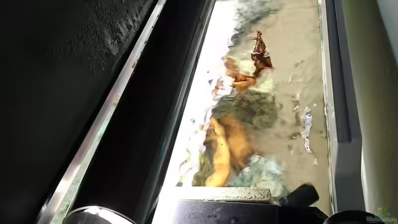 Reflektoren für bessere lichtausbeute von ulli85 (19)