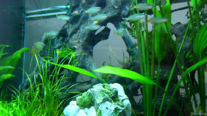 regenbogen von Oliver Gursky (15)