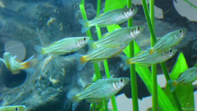 regenbogen von Oliver Gursky (16)