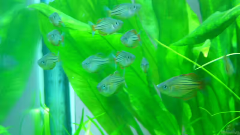 regenbogen von Oliver Gursky (23)