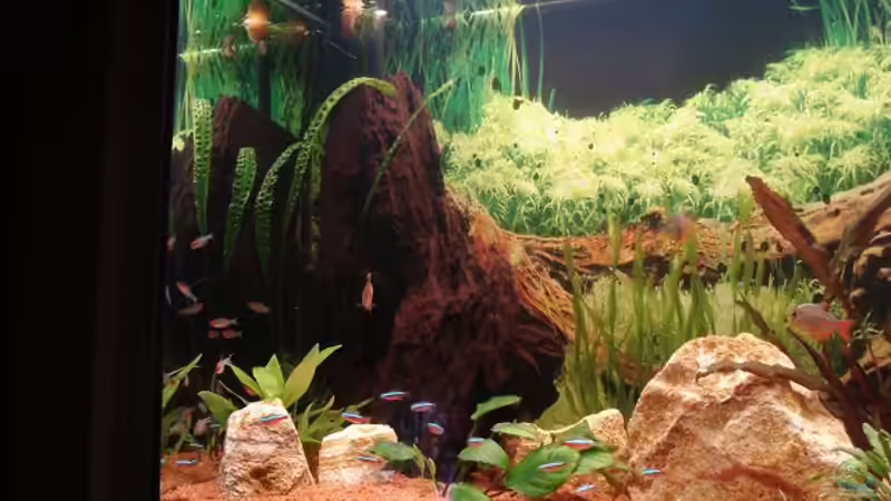 Regenbogengestein von Sven Seidel (15)