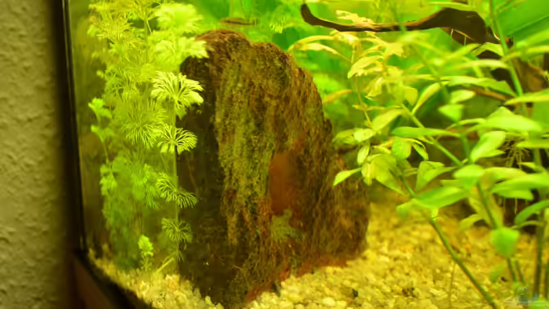 Regenbogenlochstein von Jan Marc (3)